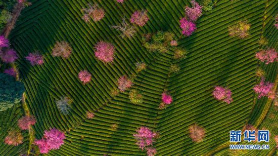 �������Ї�����3���o��ɽ�ѻ��ȣ���@���G �ѻ���ϼ