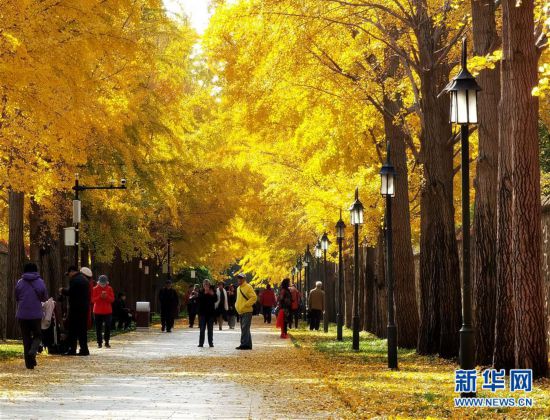 ���h(hu��n)������7���A���@�ﾰ������