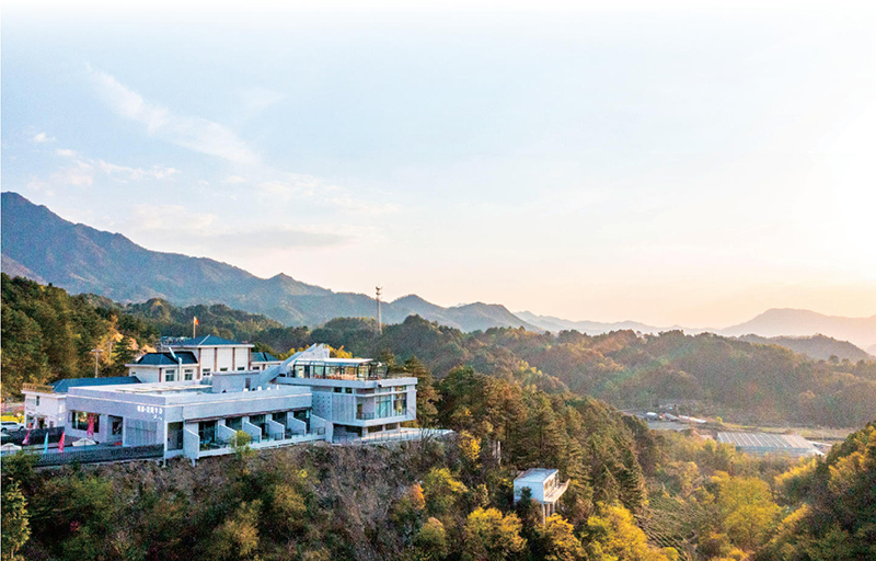 ���_�����������ɽ�h�����w�ֹ��D