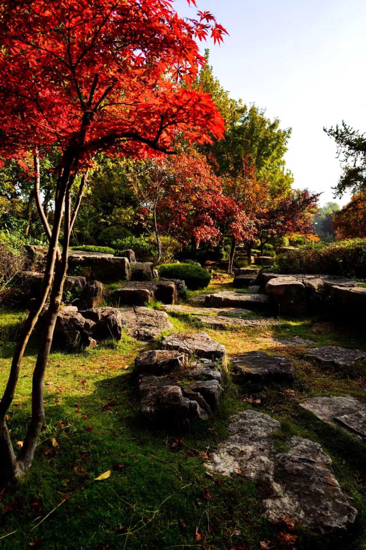 ɽ�|���գ�һ�~֪�