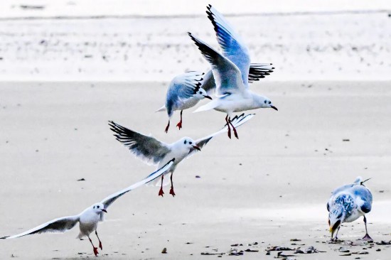 銀灘·時(shí)光 | 暖冬之”