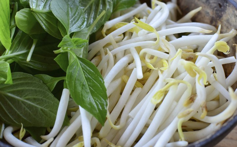 �����Զ�ѿ��ʲô��̎ �����B(y��ng)��ʳ������Щ �����B(y��ng)����ʲô��