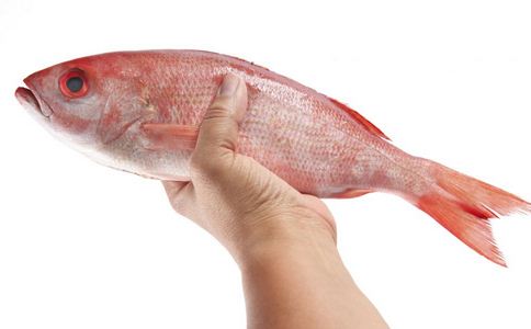 �����B(y��ng)��Ҫ��ʲôʳ�� �����B(y��ng)����ʳ������Щ �����ʳԭ�t����Щ