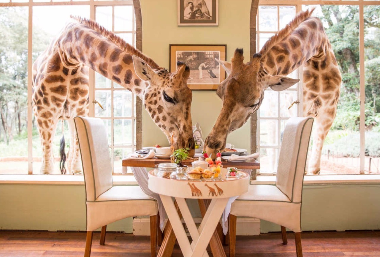 ȫ��ʮ�����͏d�������ٲ��������ڱO(ji��n)�z���]