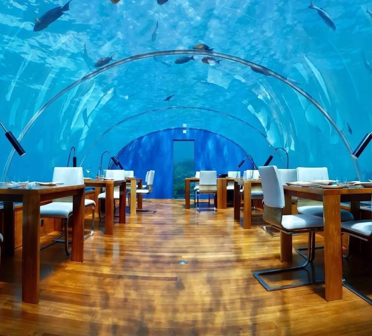 ȫ��ʮ�����͏d�������ٲ��������ڱO(ji��n)�z���]