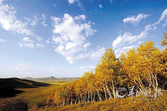 �S�����ϲ�ԭ��ɫ �_�Թ� �z