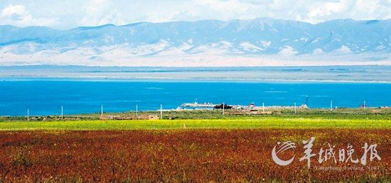 �������ຣ�����{(l��n)�졢�������݈�(ch��ng)��ɳɽ���r����ӳ�ɮ����M�@ѩ�������������ɫ ���(qi��ng) �z