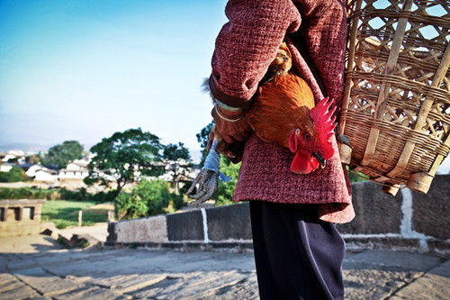 ɳϪ���(zh��n)