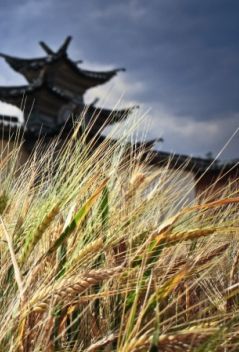 ���R�ŵ��ϵ�С�(zh��n)