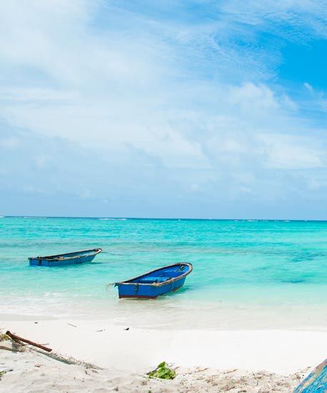 �����ĺ�