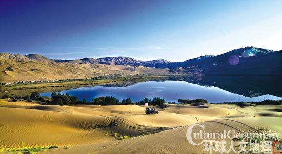 ��Į�е�Ӣ��