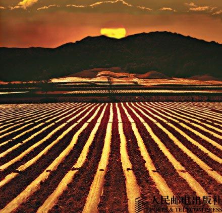 ꃱ���ԭ�����˄�(d��ng)�ݵ��S