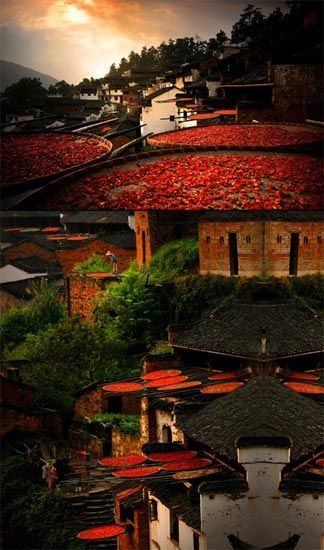 �t�t�������ͼt�t��Ϧ�(y��ng)