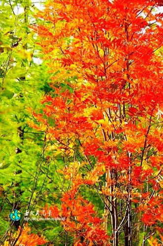 ��t���~��