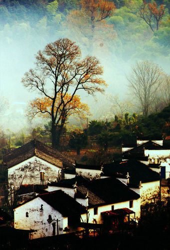 ������Դ