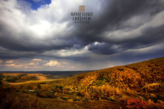 ����(j��ng)�ľGɫ׃�����S�N�N��һƬ