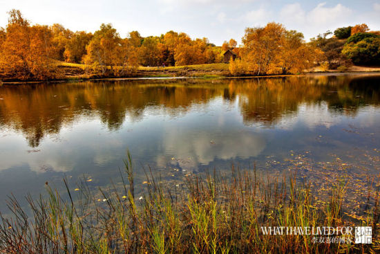 �@�������ǲ�ԭ�p����õĕr��