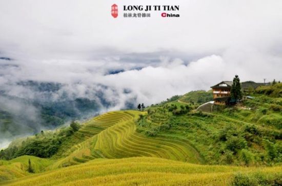 ��N�N��һƬ