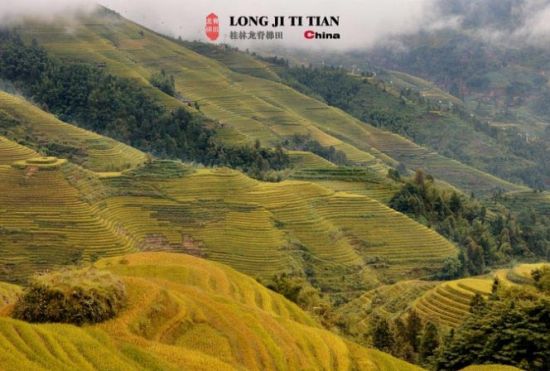 ���ӵĽ�ɫ���