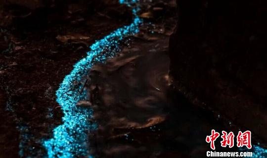 �麣�@�F(xi��n)�{(l��n)ɫ�ɹ⺣����(d��ng)?sh��)ؾ����R�ۇ��^���D��