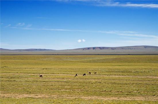 ѩ���ԭ�ϵğo�M֮��