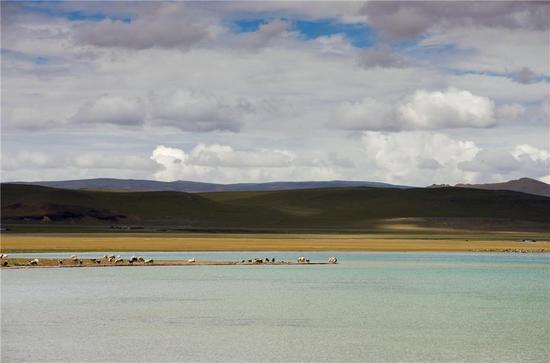 ѩ���ԭ�ϵğo�M֮��