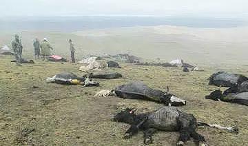 ħ�����]�ĵط� ����ɽ������