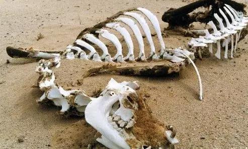 ħ�����]�ĵط� ����ɽ������