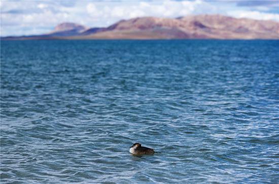 ѩ���ԭ�ϵğo�M֮��