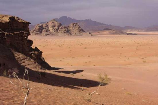 �����Ǿ�Ԯ���Ĕz�� �_(k��i)܇����ȥ