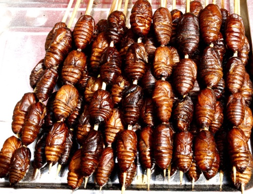 ���������Ă�ʡ�е�ʳ�����ؿ�ζ