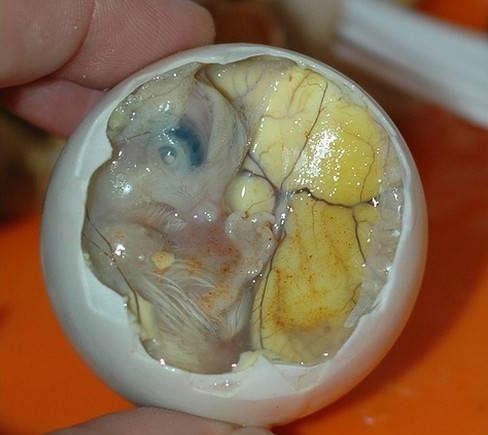 ���������Ă�ʡ�е�ʳ�����ؿ�ζ