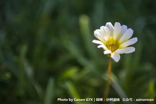 �ձ���ʡ�X���E���_ �ͽo��ĩ�¹���