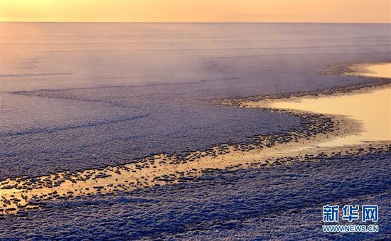 ���������������ս罭������