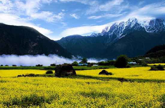 ���x�F�� ȥ�@Щ���������ϴϴ�ΰ�