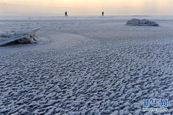 ���������������ս罭������