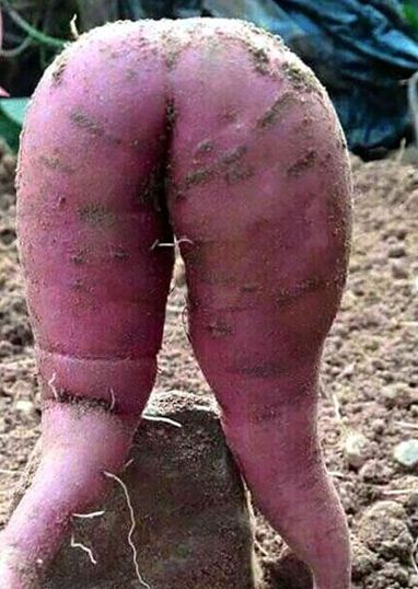 �r(n��ng)��N���Ըмt����Ů�����w