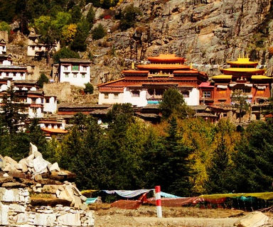 ���x�F�� ȥ�@Щ���������ϴϴ�ΰ�