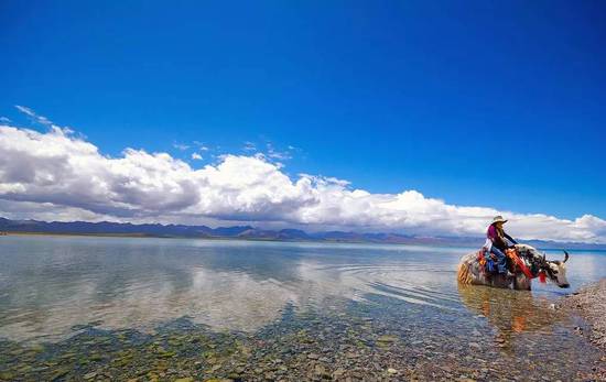 ����ʮ�����ȥ֮�� ��֪�����٣�