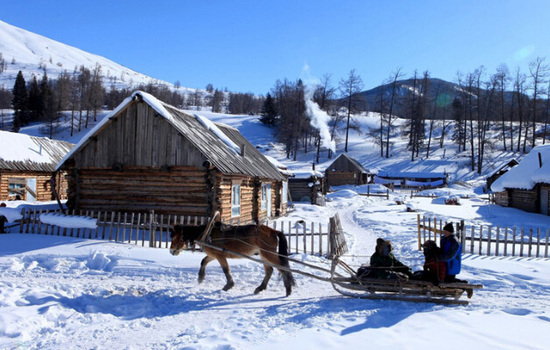 �@��Ķ����ж��� ѩ�����ж���