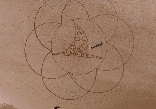 ���������ں������޷�ɳ�� ׷���D(zhu��n)˲����֮��