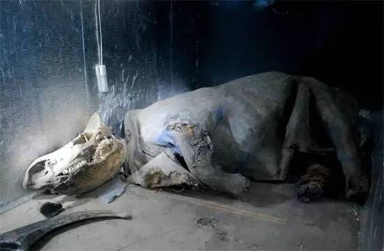 ���ǵ��������ĳ��� �](m��i)��֮һ