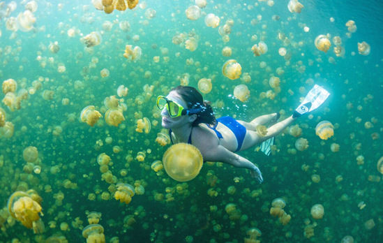 ����ٲ��ݾ�Ҫ�������� �s�oȥ�@Щ�ط��^(gu��)����