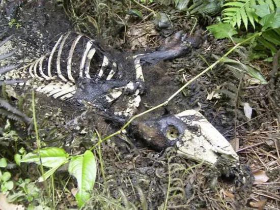 �Ԛ��߰l(f��)�����ձ����@���ط����ȥ������