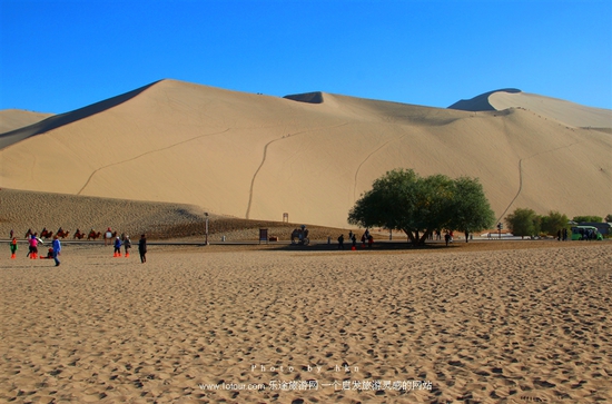 ǧ��Ī�� ���(m��ng)�ػ�