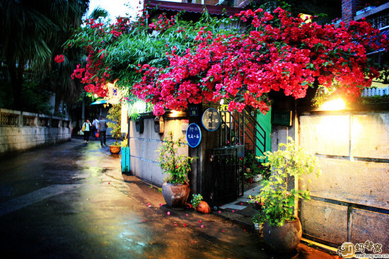 �Ї������e���������� ����ȥ������