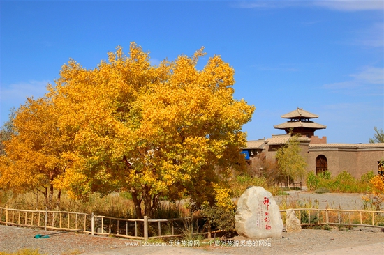 ǧ��Ī�� ���(m��ng)�ػ�