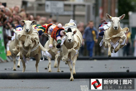 ����̫�����P�c�@���°͵ı�ِ