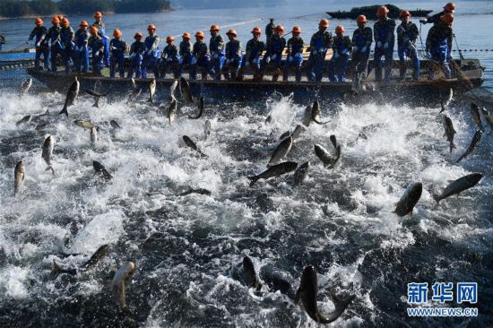 ���������1���㽭ǧ�u�����޾W(w��ng)���~