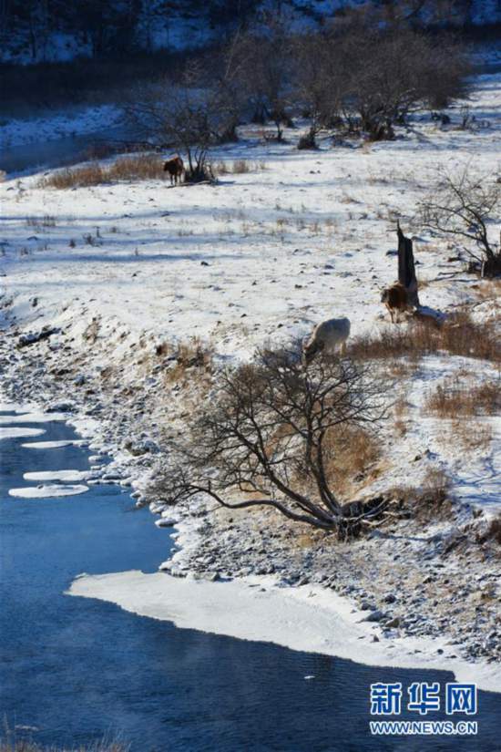 ���h(hu��n)������2����(y��n)���е�&ldquo;������&rdquo;